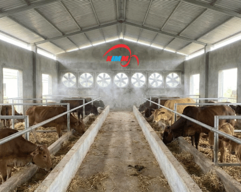 Quạt Trang Trại Có Thực Sự Cần Thiết Cho Khu Vực Chăn Nuôi?