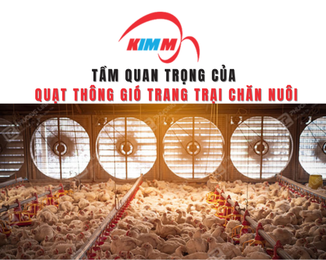 Tầm Quan Trọng Của Quạt Thông Gió Trang Trại Chăn Nuôi
