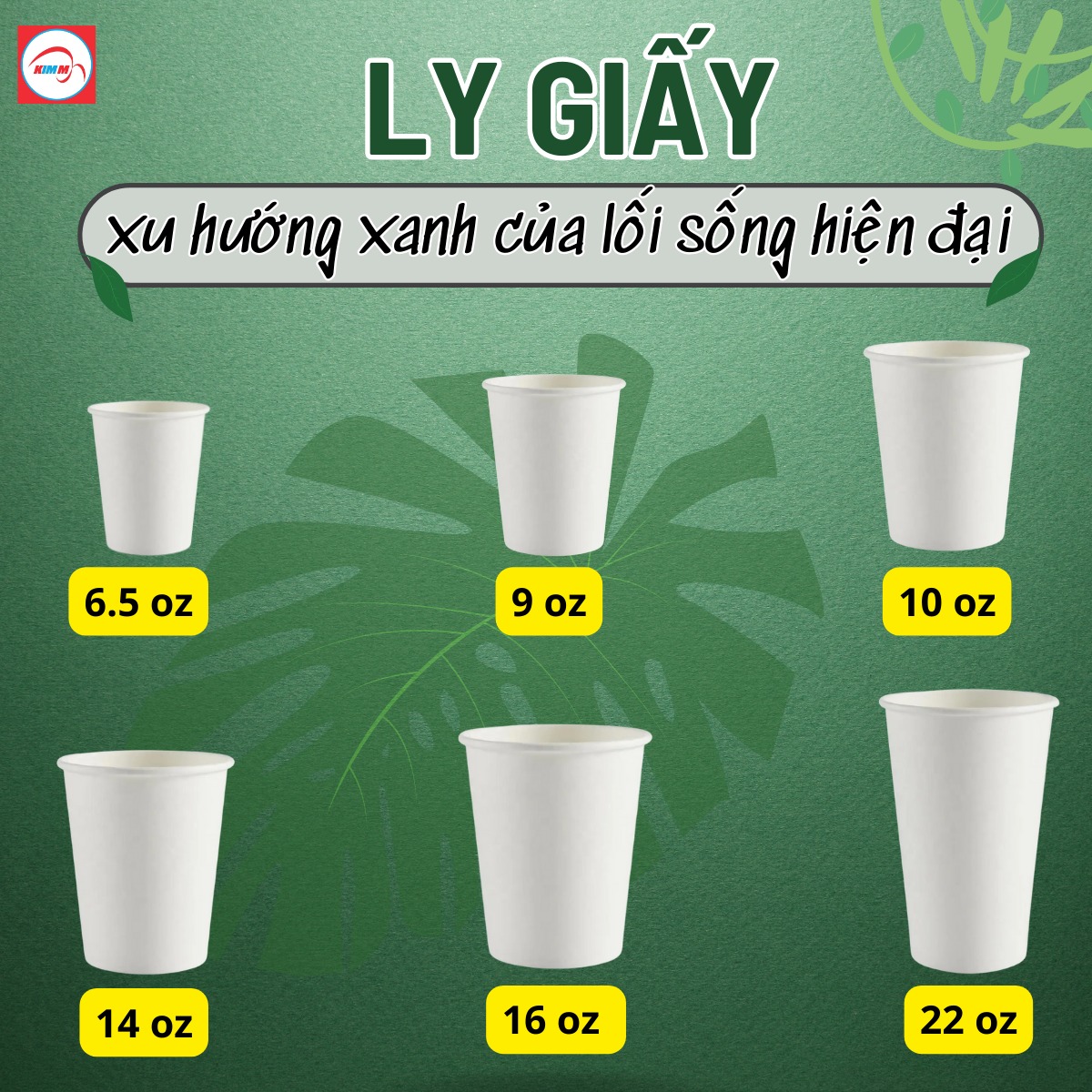 Ly Giấy - Xu Hướng Xanh 