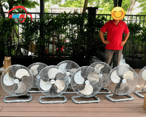 Quạt thấp là gì? Vì sao loại quạt này ngày càng được ưa chuộng?