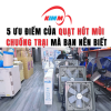 5 Ưu Điểm Của Quạt Hút Mùi Chuồng Trại Mà Bạn Nên Biết